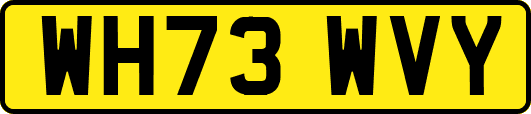 WH73WVY