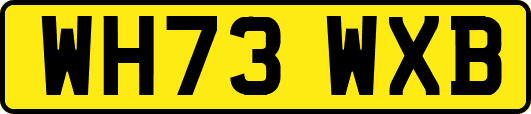 WH73WXB