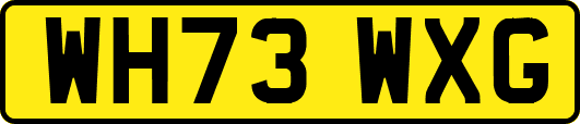 WH73WXG