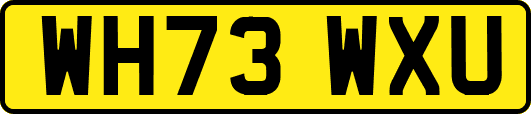 WH73WXU