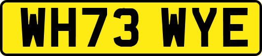 WH73WYE