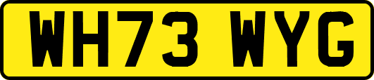 WH73WYG