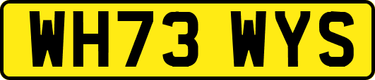 WH73WYS