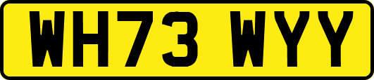 WH73WYY