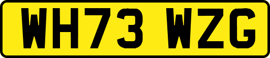 WH73WZG