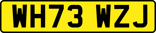 WH73WZJ