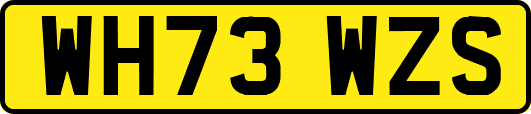 WH73WZS