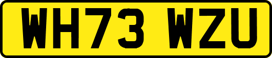 WH73WZU
