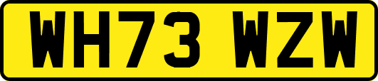 WH73WZW