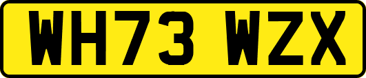 WH73WZX