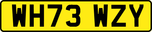 WH73WZY
