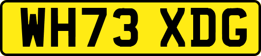 WH73XDG