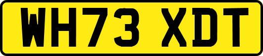 WH73XDT