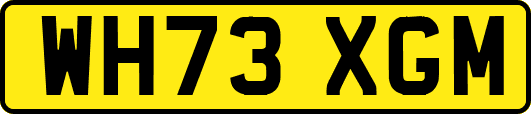 WH73XGM
