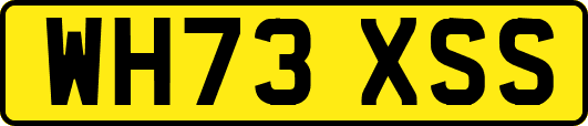WH73XSS