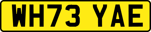 WH73YAE