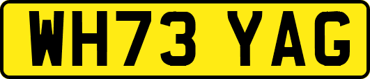WH73YAG