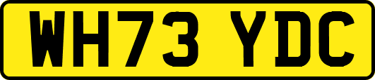 WH73YDC