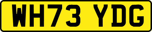 WH73YDG