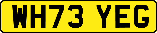 WH73YEG