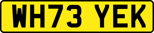 WH73YEK