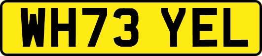 WH73YEL