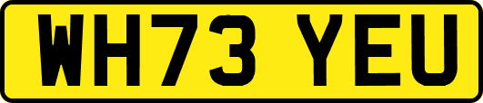 WH73YEU