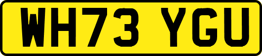 WH73YGU