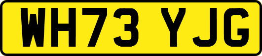 WH73YJG