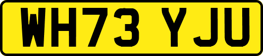 WH73YJU
