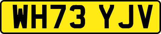 WH73YJV