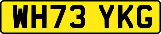 WH73YKG