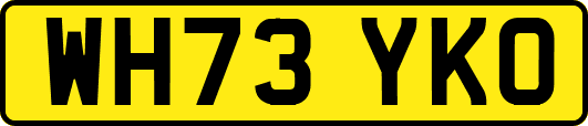 WH73YKO