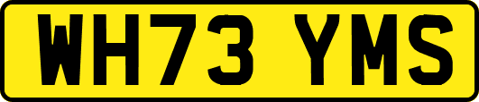 WH73YMS