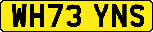 WH73YNS