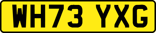 WH73YXG