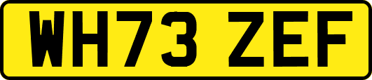 WH73ZEF