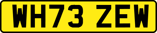 WH73ZEW