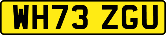WH73ZGU