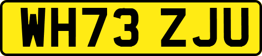 WH73ZJU