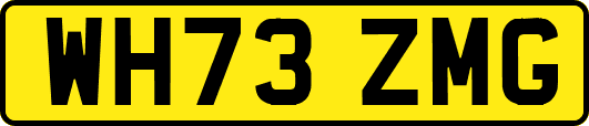 WH73ZMG