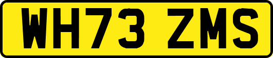 WH73ZMS