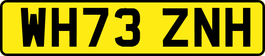 WH73ZNH