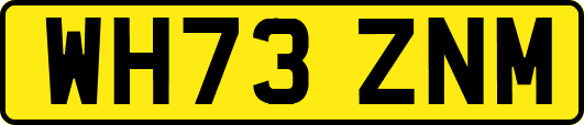 WH73ZNM