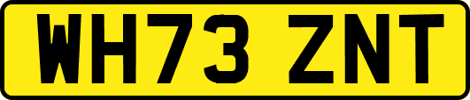 WH73ZNT