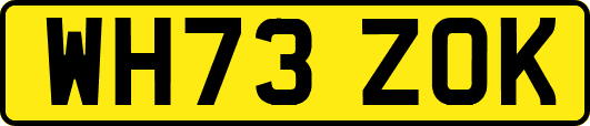 WH73ZOK