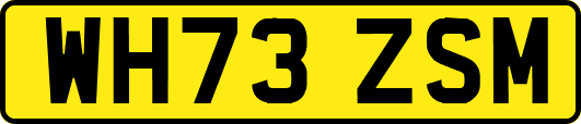 WH73ZSM