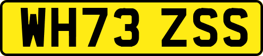 WH73ZSS