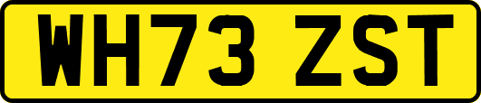WH73ZST