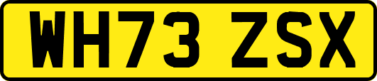 WH73ZSX